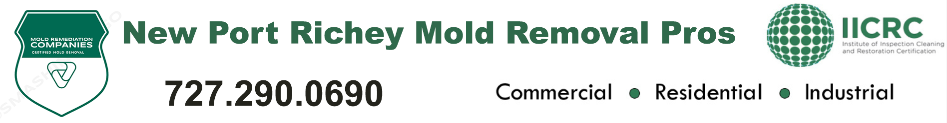 New Port Richey Mold Removal Pros